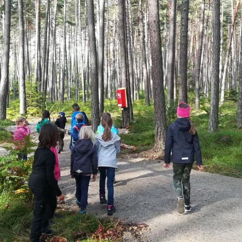 Spiele + Bewegung im Wald 