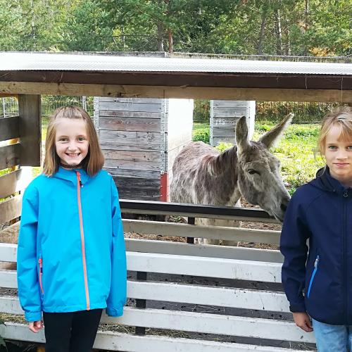 Besuch bei den Eseln 