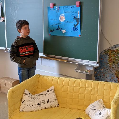 Die drei ???- Die Delfin-Piraten 