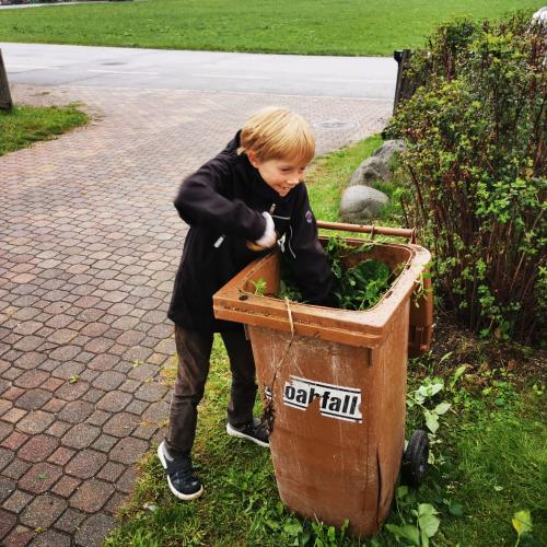 Erntetag 
