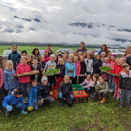 eine ertragreiche Ernte 