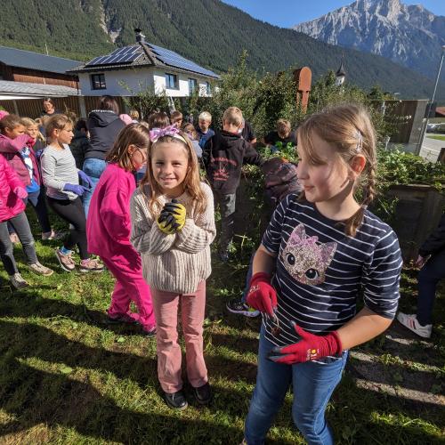 Ernte im Schulgarten 