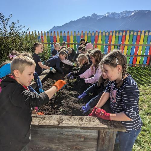 Ernte im Schulgarten 
