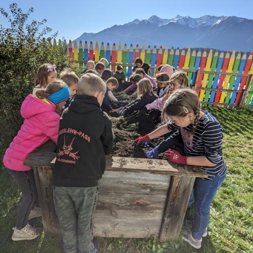 Ernte im Schulgarten 