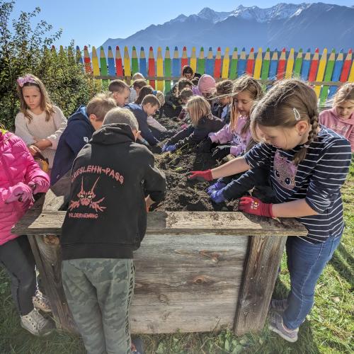 Ernte im Schulgarten 