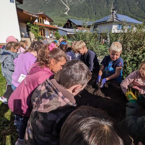 Ernte im Schulgarten 