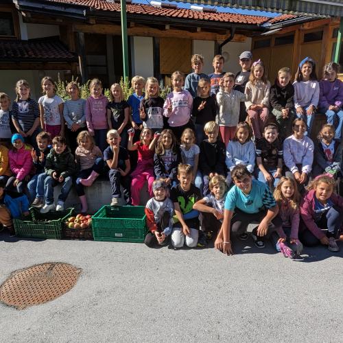 Ernte im Schulgarten 