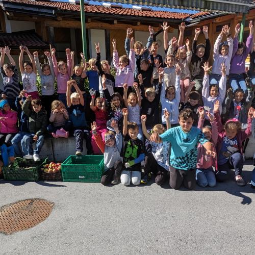 Ernte im Schulgarten 