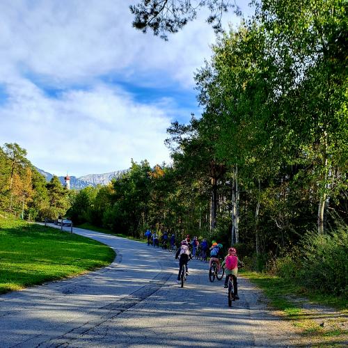 Wir radeln zurück nach Wildermieming