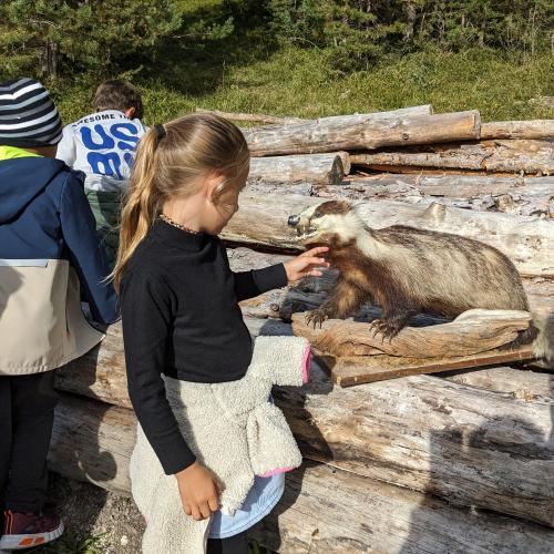 die präparierten Tiere faszinierten die Kinder sehr