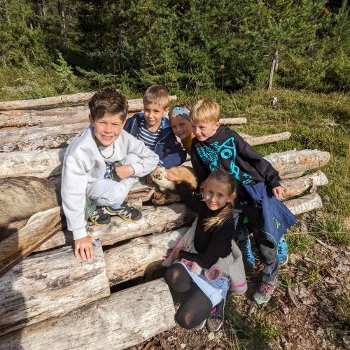 auf den Holzstämmen sitzt es sich besonders gut