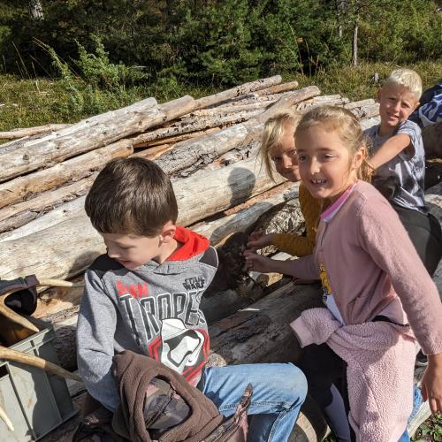 spannende Geschichten über Hirschgeweihe