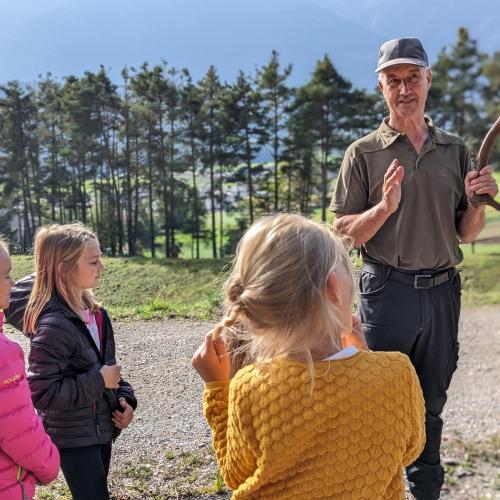 Rätselraten um das Alter eines Hirschgeweihs