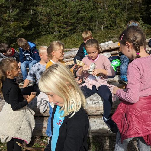 es gab viel zu sehen im Wald