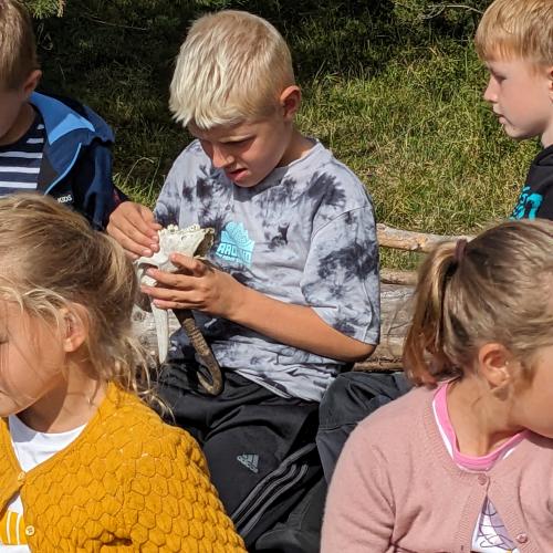 Auch das Gebiss der Gämse faszinierte die Kinder- es gab sogar Wackelzähne