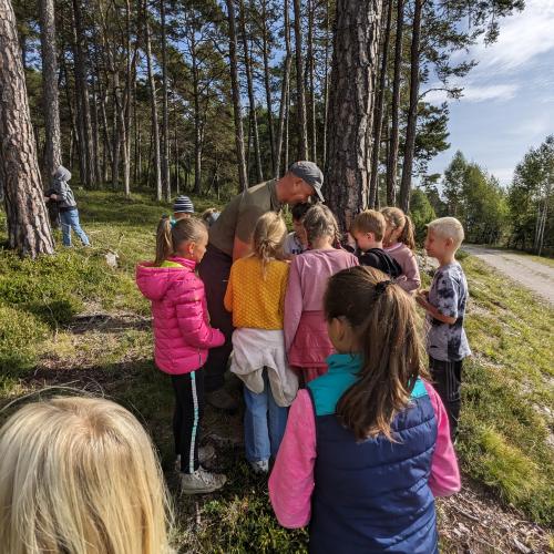 spannende Baumbestimmung