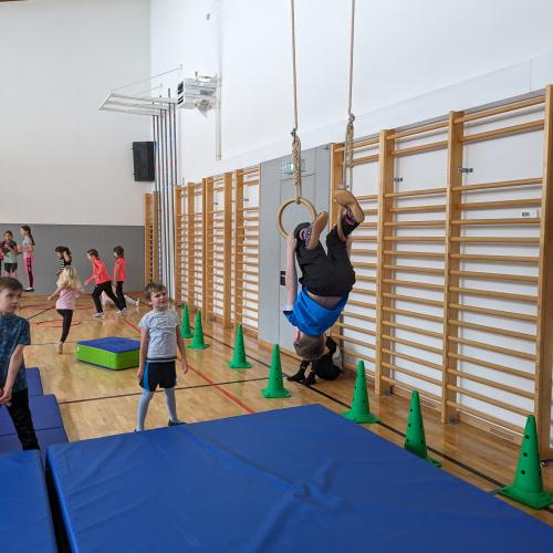 Turnen mit den Ringen