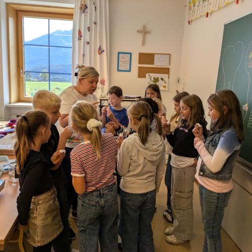 Zahnprophylaxe  - Zähne erforschen 