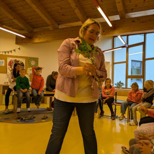 Kartoffelpflanze mit keimenden Jungerdäpfeln
