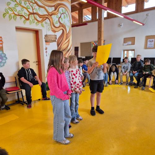 Präsentation der Ergebnisse 