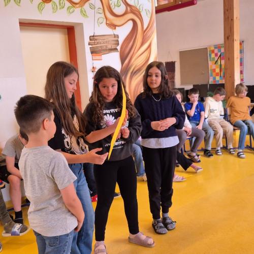 Präsentation der Ergebnisse 