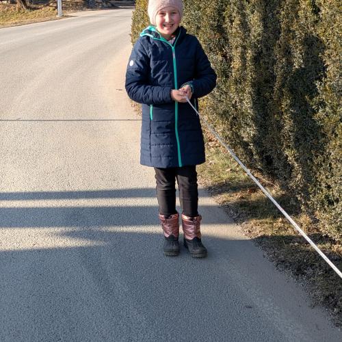 Mathematik im Freien 