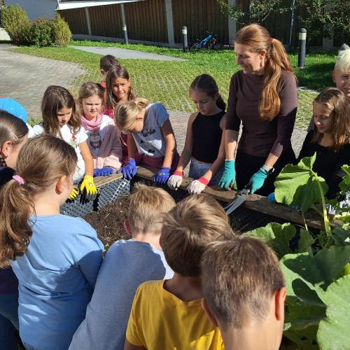 Kürbis, Gurken und Zucchiniernte 