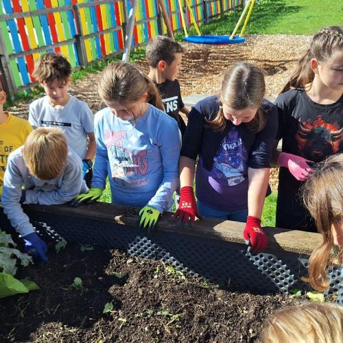 fleißige Kinder bei der Ernte 