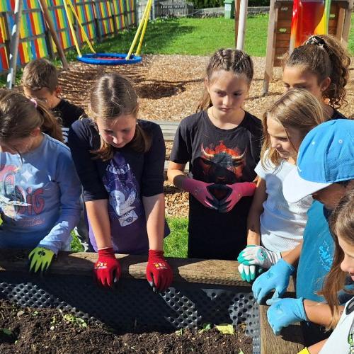 Kürbis, Gurken und Zucchiniernte 