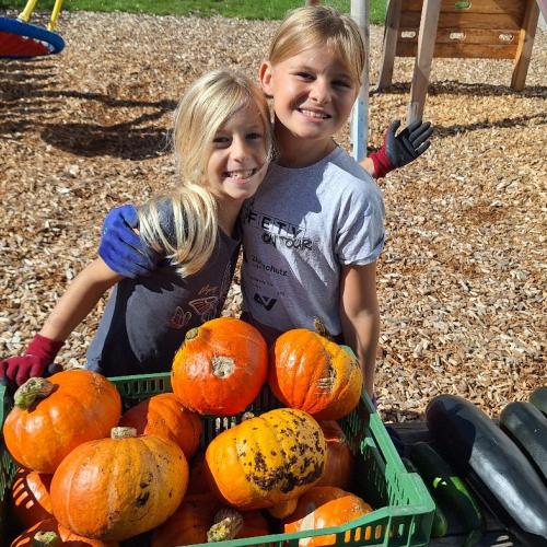 Juhu, alle Kürbisse sind geerntet! 