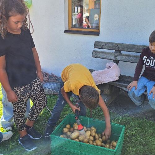 Endspurt - Gemüsewäsche 