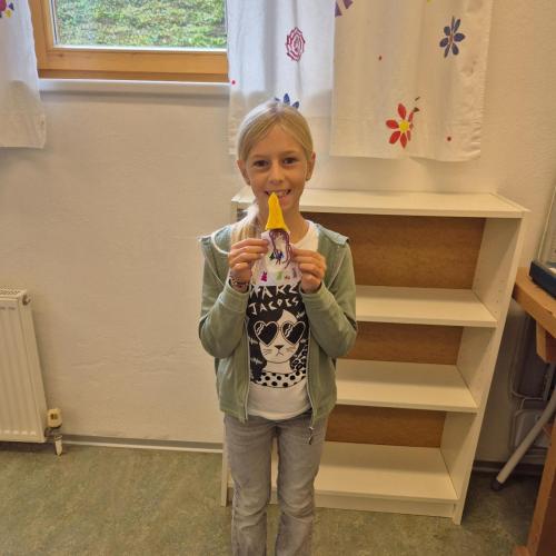 Schnappschüsse aus dem Unterricht