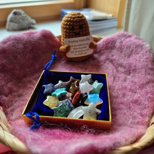 Schnappschüsse aus dem Unterricht