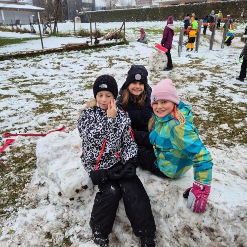 Schnappschüsse aus dem Unterricht