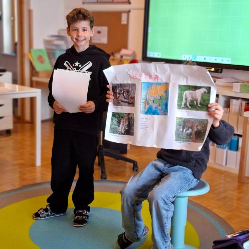 Tier-Referate der 3. Stufe