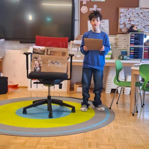 Tier-Referate der 3. Stufe