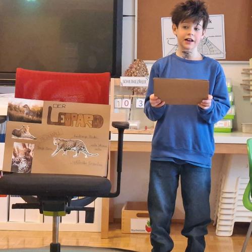 Tier-Referate der 3. Stufe