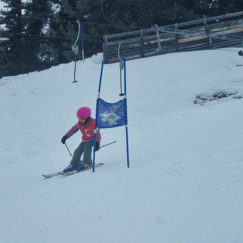 Skiwoche 2026