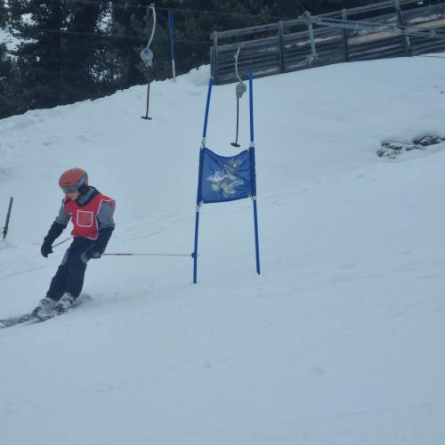 Skiwoche 2026