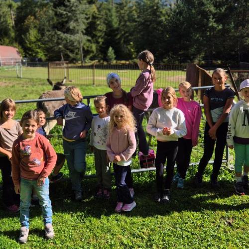 Besuche bei den Eseln 