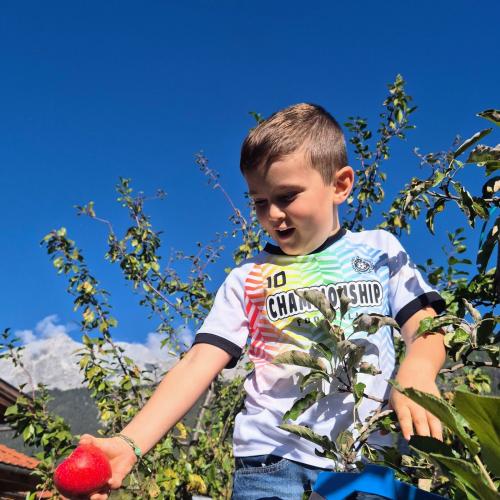 bei der Ernte 