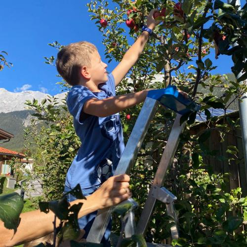 bei der Ernte 