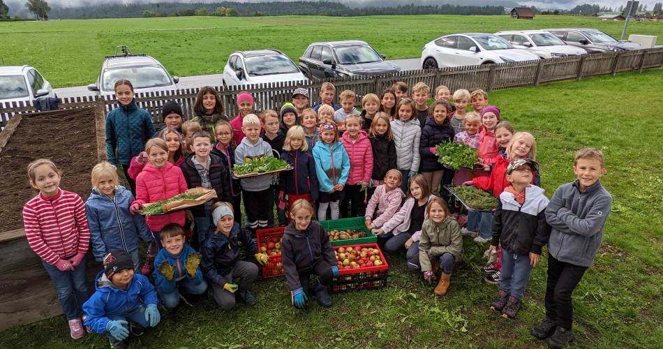 eine ertragreiche Ernte 