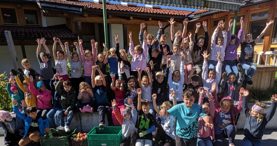 Ernte im Schulgarten 