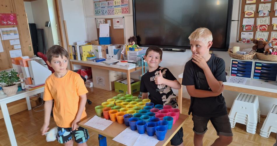 Erdbeer- und Himbeersmoothies