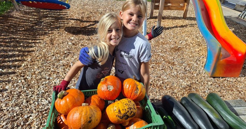 Juhu, alle Kürbisse sind geerntet! 